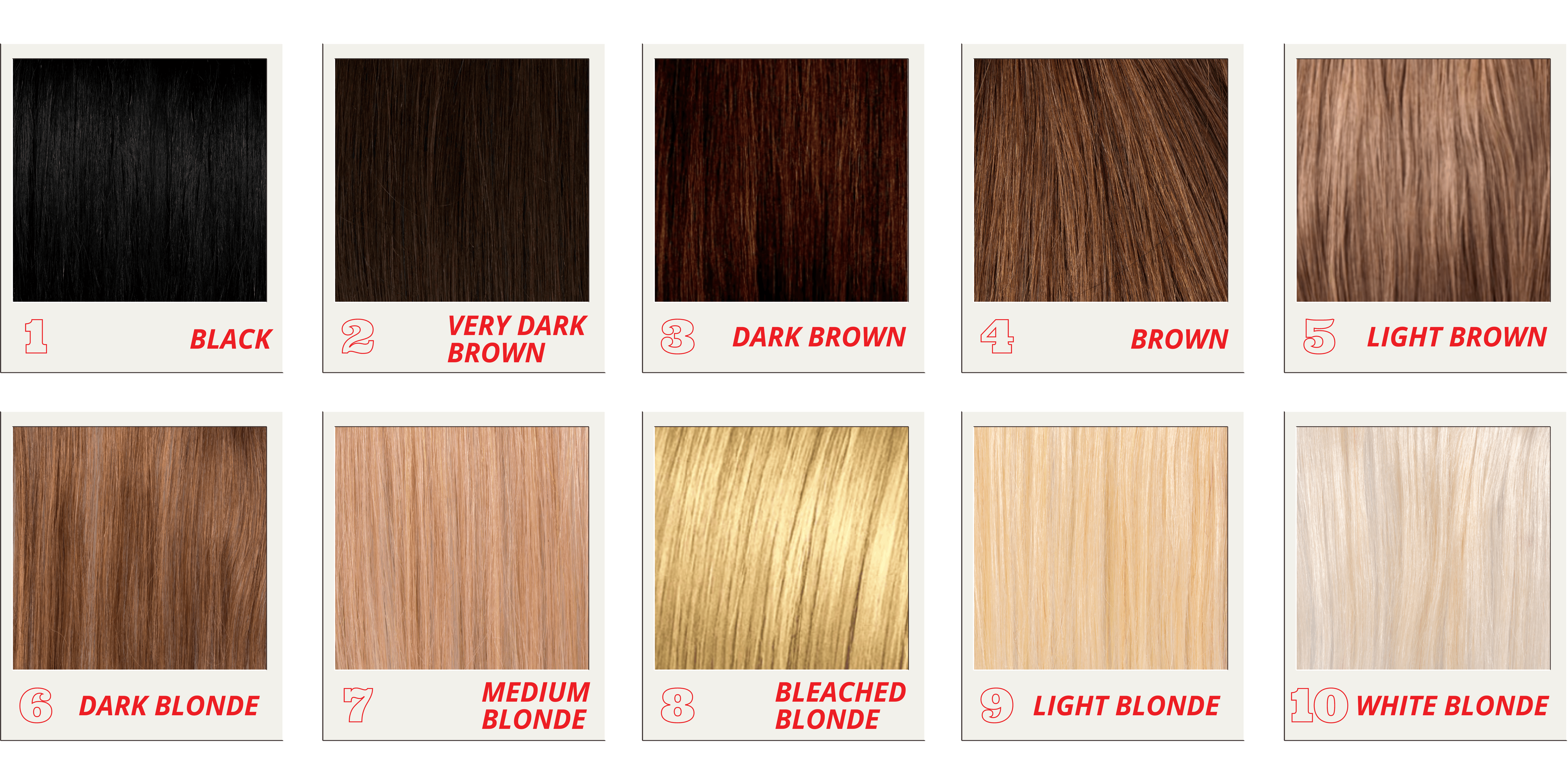Hair level chart 1 to 10