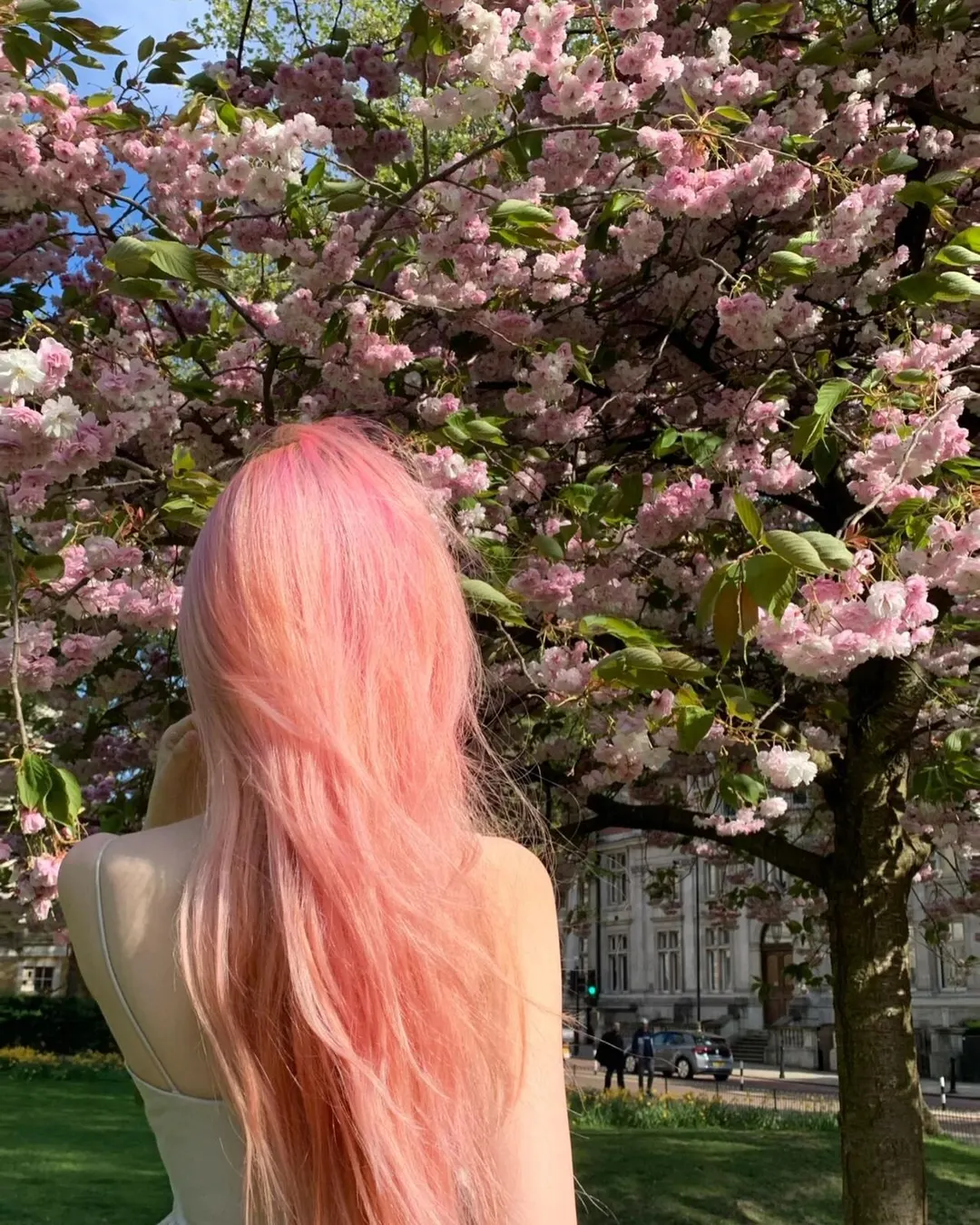 Cotton Candy Pink by @小红书博主 1